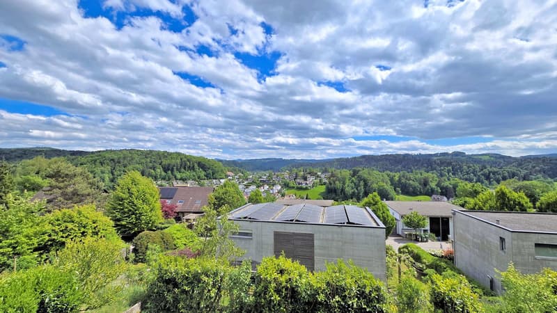 Modernes Einfamilienhaus mit viel Wohnraum und Weitsicht (3)