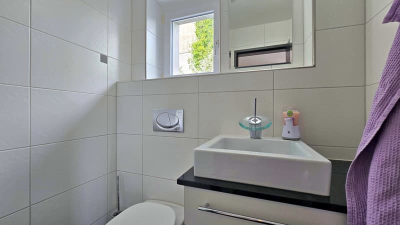 Modernes Einfamilienhaus mit viel Wohnraum und Weitsicht (14)