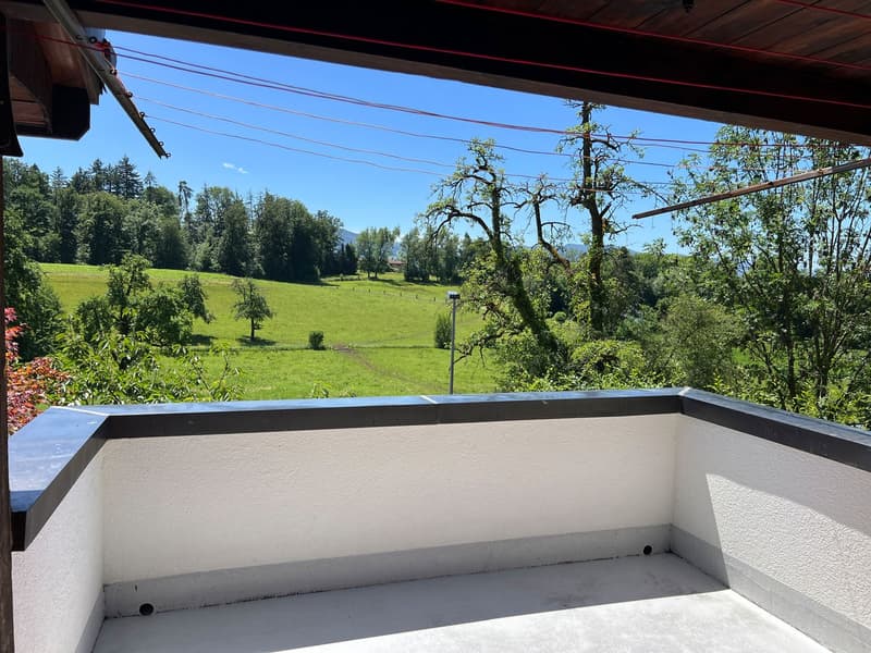 Balkon im OG vom Gang her begehbar