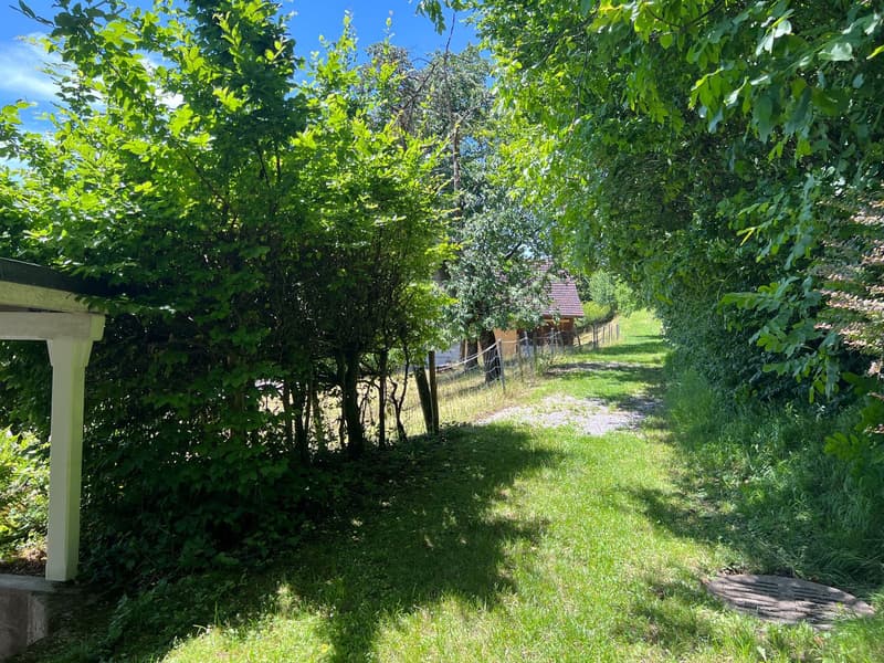 Hinter dem Haus