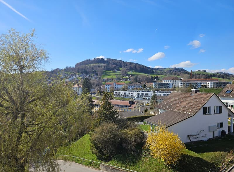 Aussicht vom Balkon