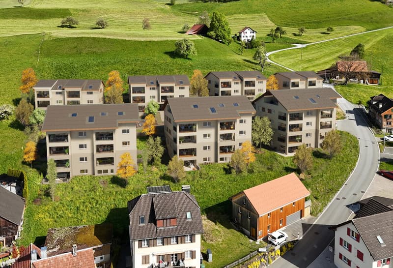 Überbauung "Goldig Wohnen", Visualisierung