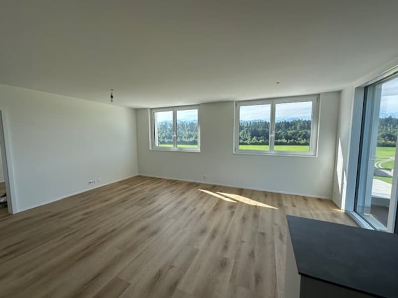 empty room, wooden floor, white walls, large windows, view of the outside