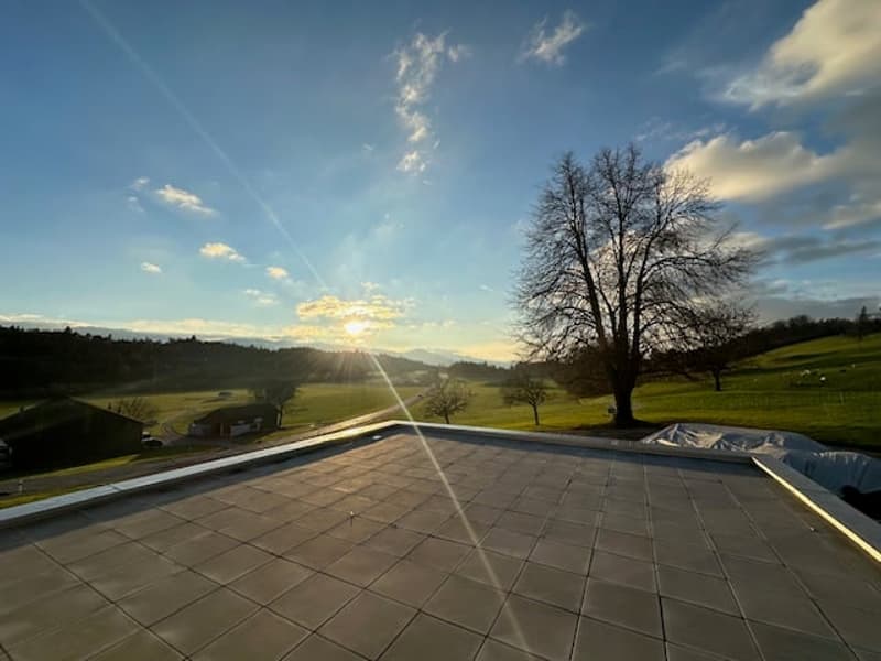 Roof terrace with tiled floor, view of a green field, a tree, and a setting sun