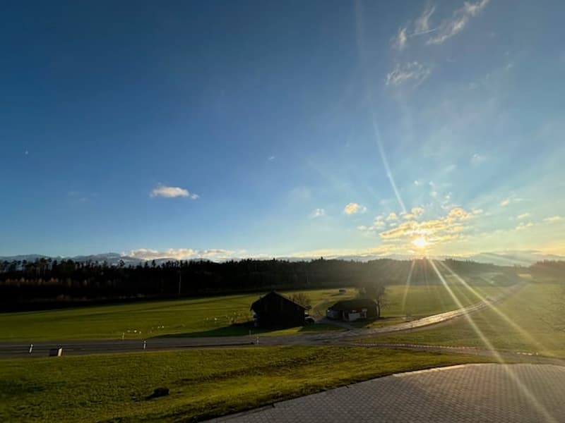 Wide green field, two small houses, road, trees, mountains in the distance, clear sky