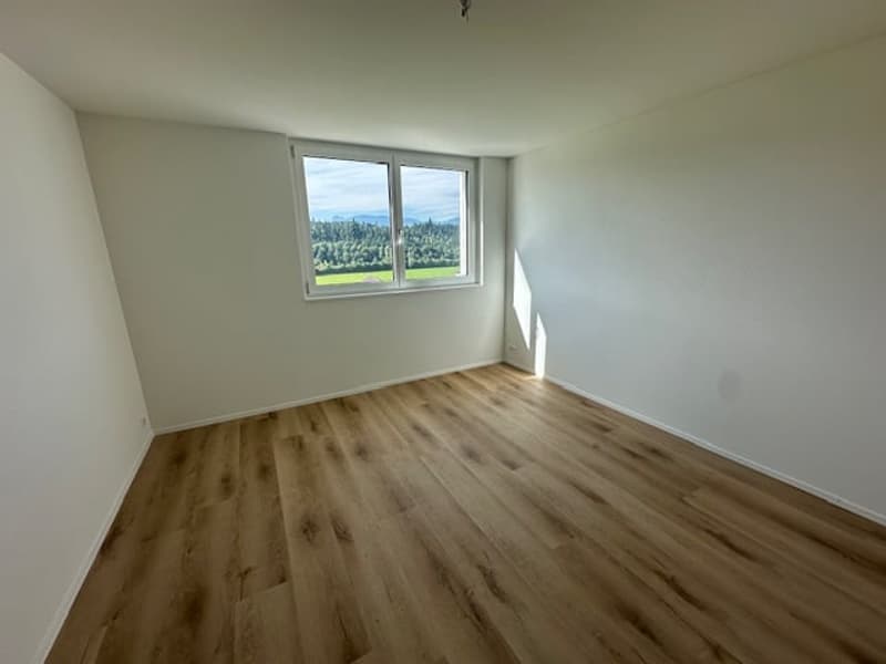empty room, wooden floor, white walls, large window with view