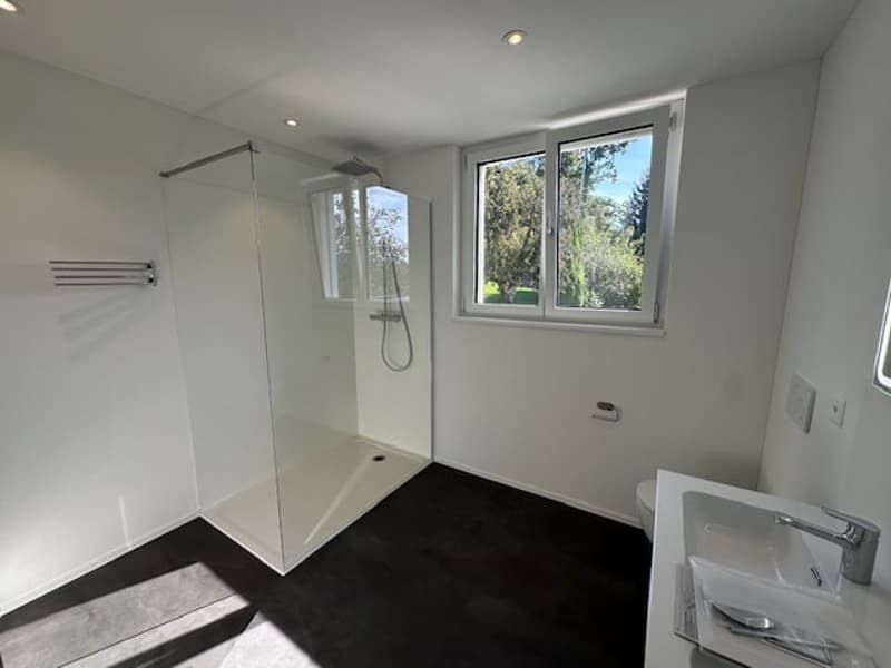 modern bathroom with glass shower, white sink, white toilet, white walls, black floor