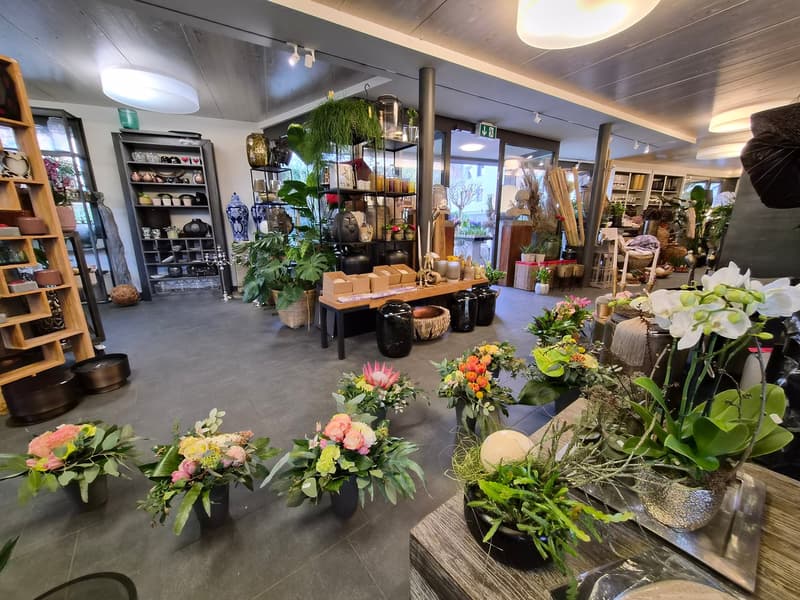 Attractive commercial/retail space (4)