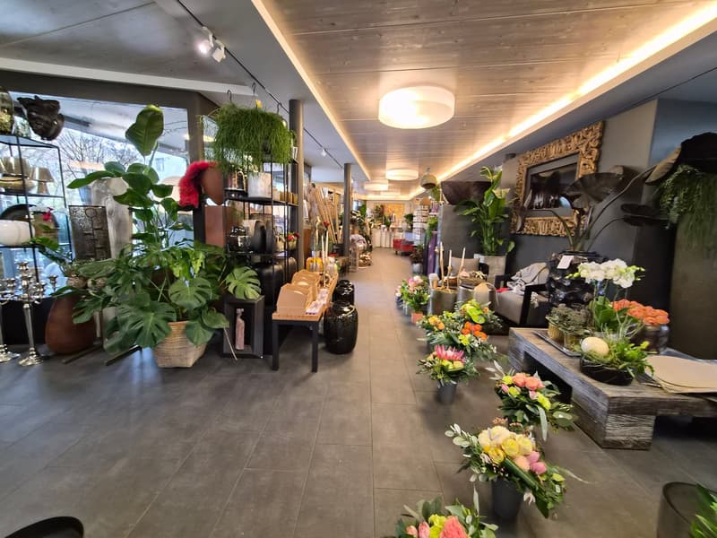 Attractive commercial/retail space (5)