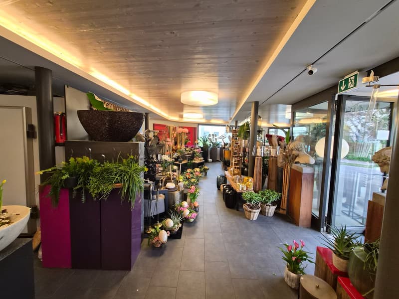 Attractive commercial/retail space (3)
