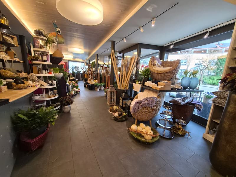 Attractive commercial/retail space (7)