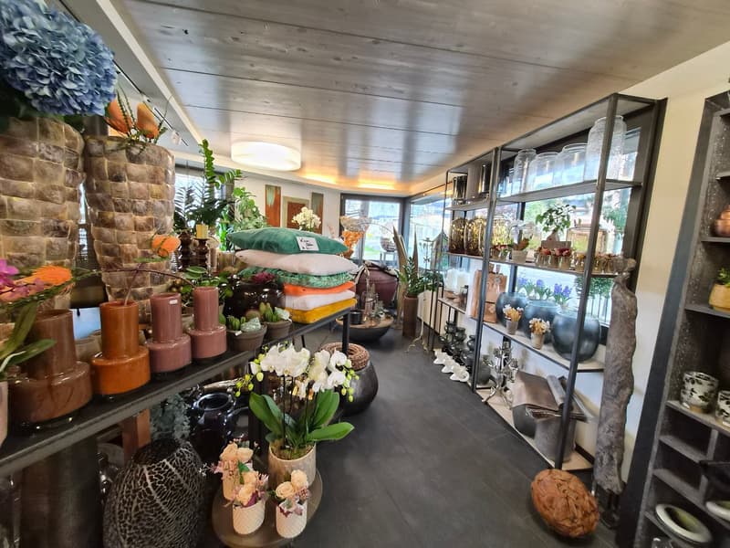 Attractive commercial/retail space (6)