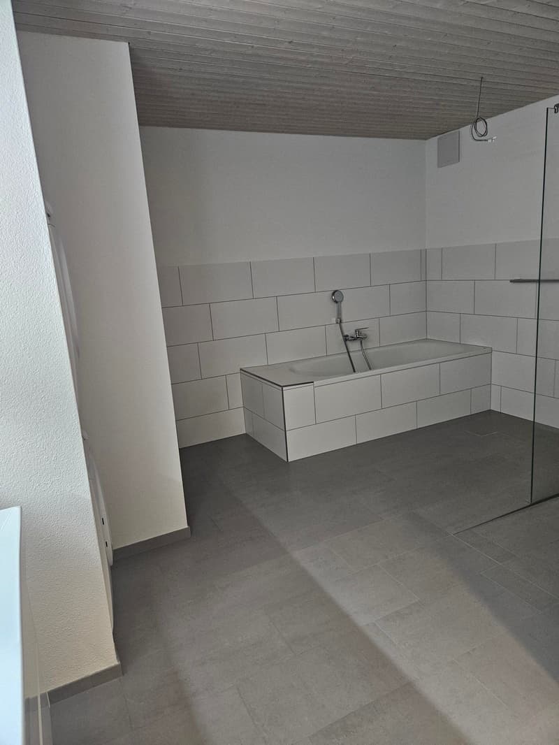 Ampio appartamento in una posizione attraente (9)