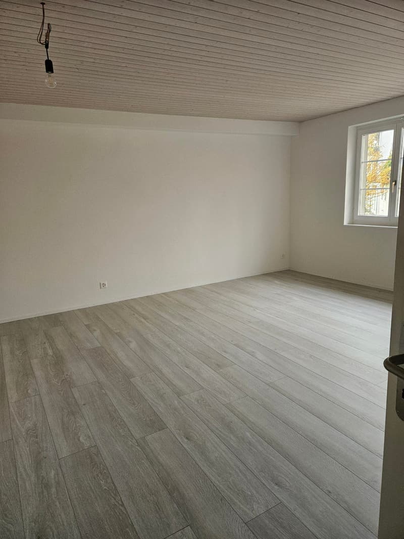 Ampio appartamento in una posizione attraente (8)