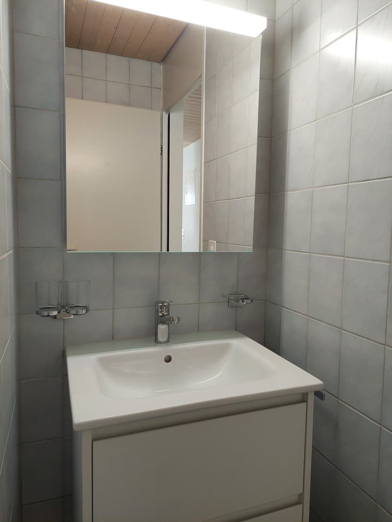 Grosszügige Maisonettewohnung mit Galerie im Herzen von Eschenbach (12)