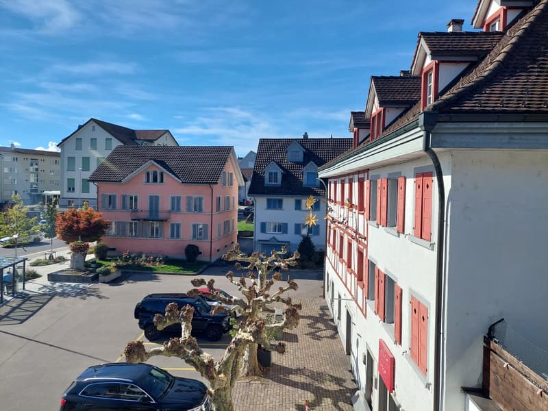 Grosszügige Maisonettewohnung mit Galerie im Herzen von Eschenbach (25)