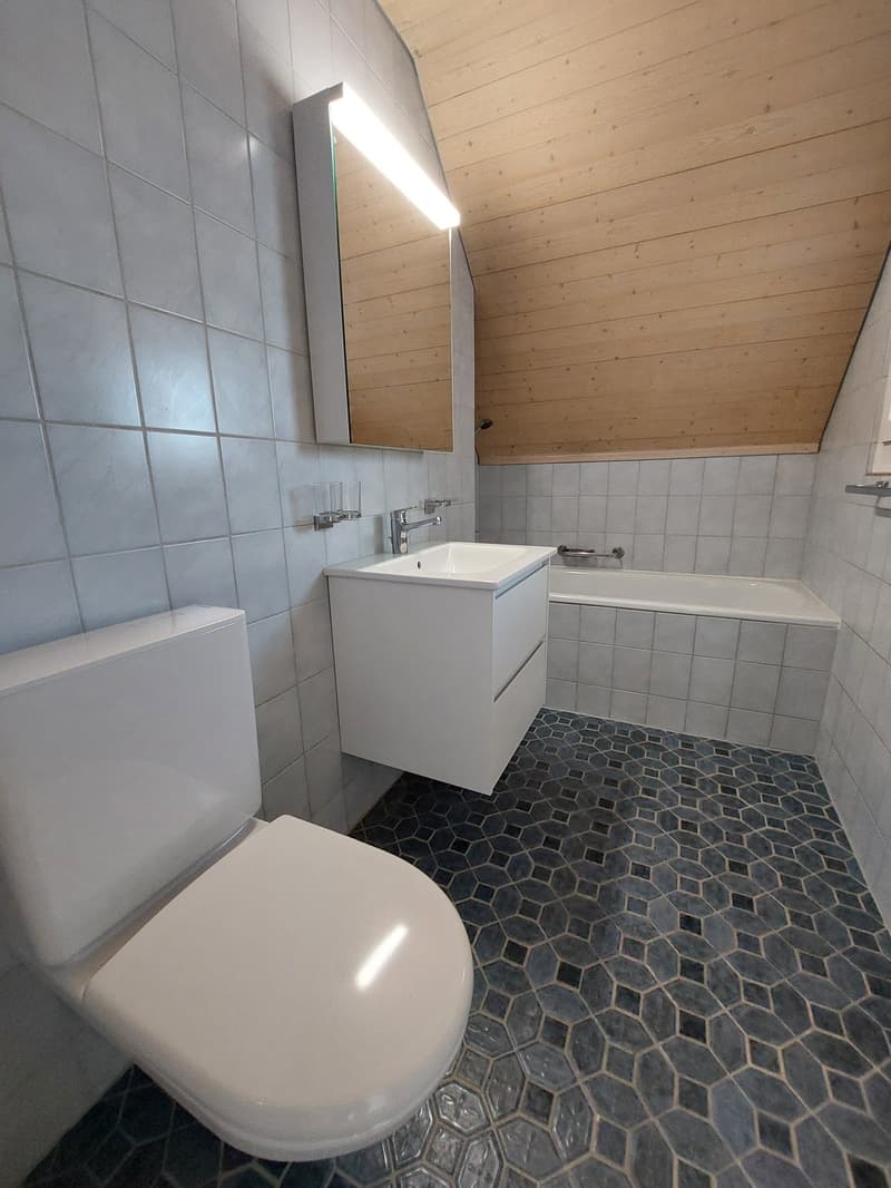 Grosszügige Maisonettewohnung mit Galerie im Herzen von Eschenbach (13)