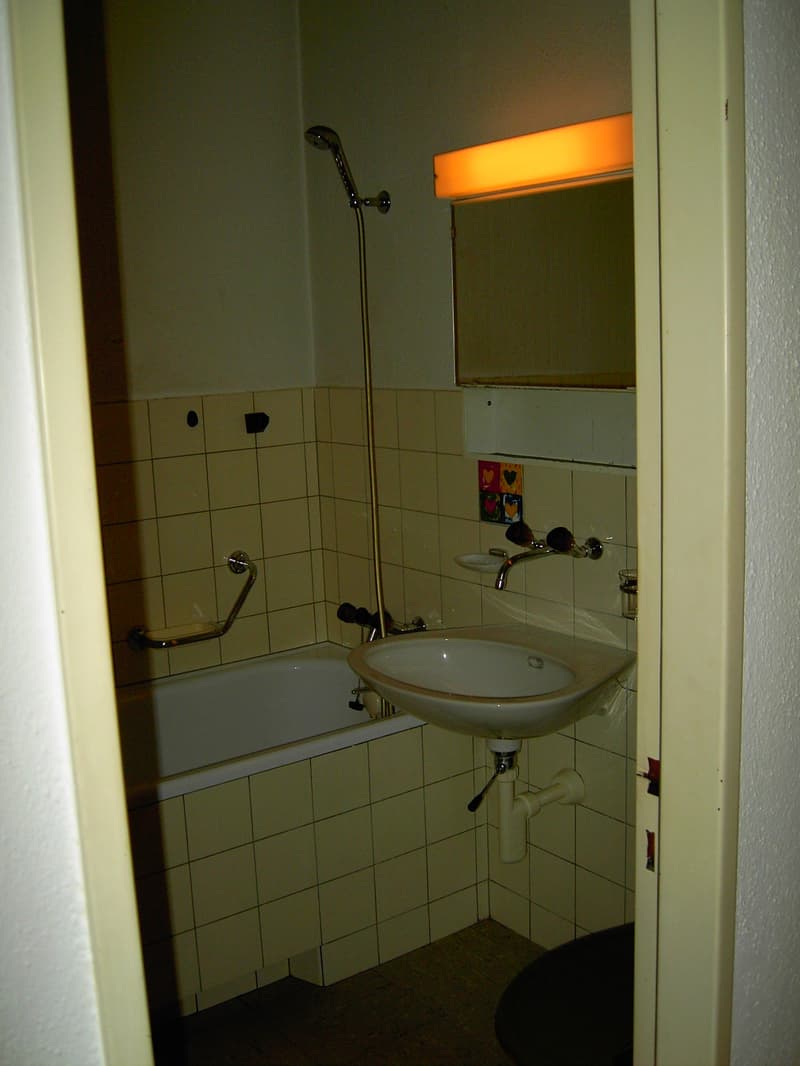 Incantevole appartamento 1 & 2 locali con balcone e vista lago a Horgen – limitato fino alla fine di giugno 2026 (5)