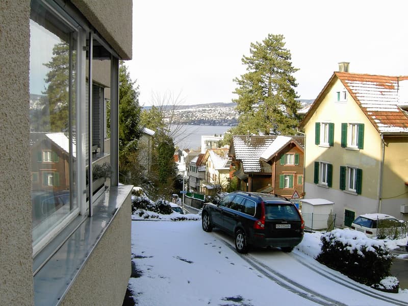 Snowy street, a black car parked with a license plate reading 02ZH 172448, several houses on either side, trees and bushes, a body of water in the distance