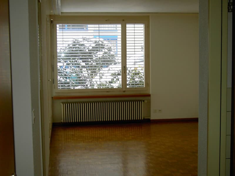 Empty room with windows, wooden floor, white walls, radiator, and a view of trees outside.