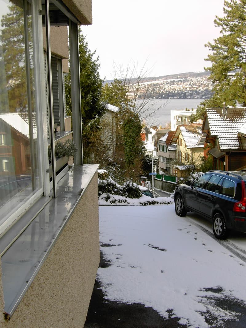 Incantevole appartamento 1 & 2 locali con balcone e vista lago a Horgen – limitato fino alla fine di giugno 2026 (14)
