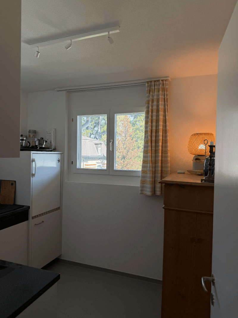 small kitchen with window, white fridge, wooden cabinet, lamp, countertop
