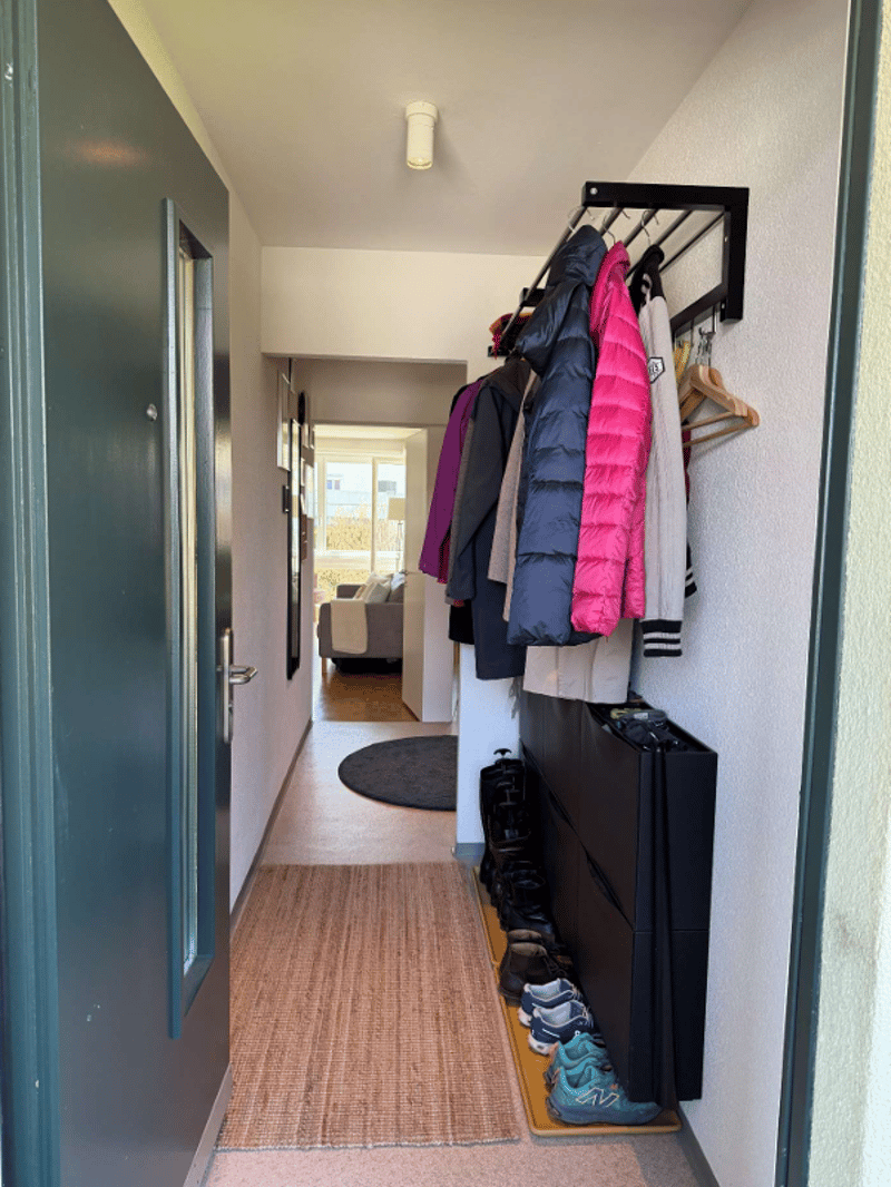 Entrance hall with coat rack, shoes, and a rug