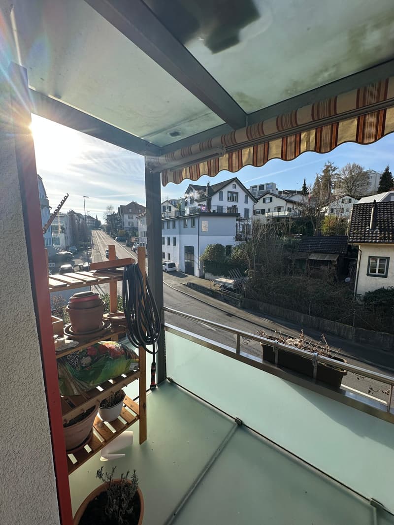 Affascinante appartamento maisonette 5 locali a Horgen con giardino (16)