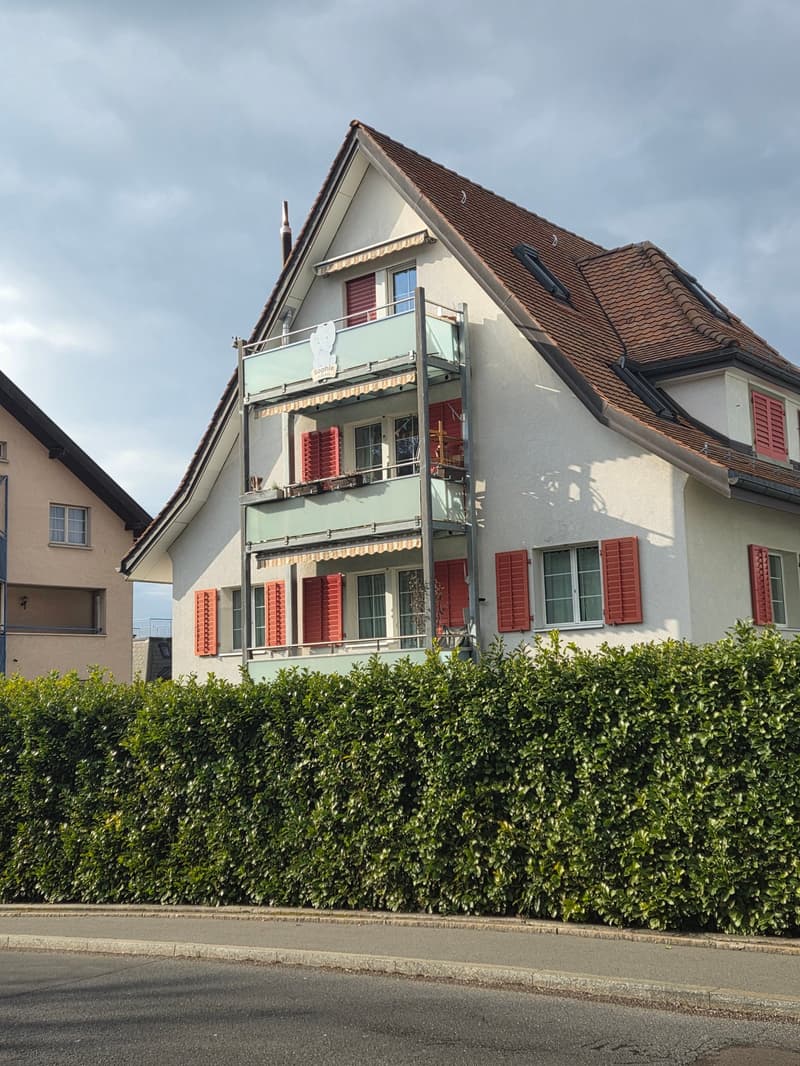 Affascinante appartamento maisonette 5 locali a Horgen con giardino (1)