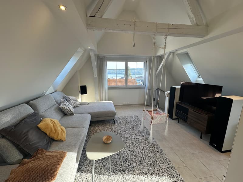 Affascinante appartamento maisonette 5 locali a Horgen con giardino (10)