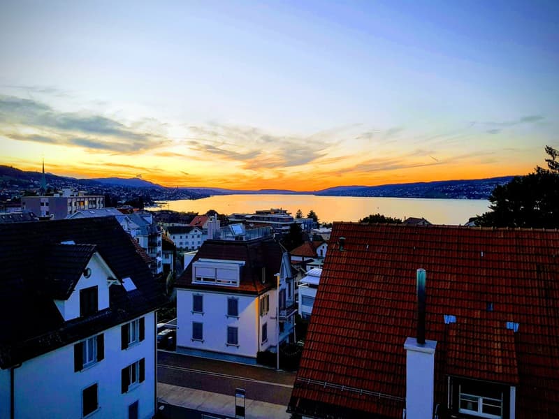 Affascinante appartamento maisonette 5 locali a Horgen con giardino (17)