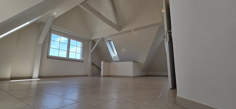 Maisonette mit Seesicht, privatem Garten und einzigartigem Wohnatelier inkl. Garage (12)