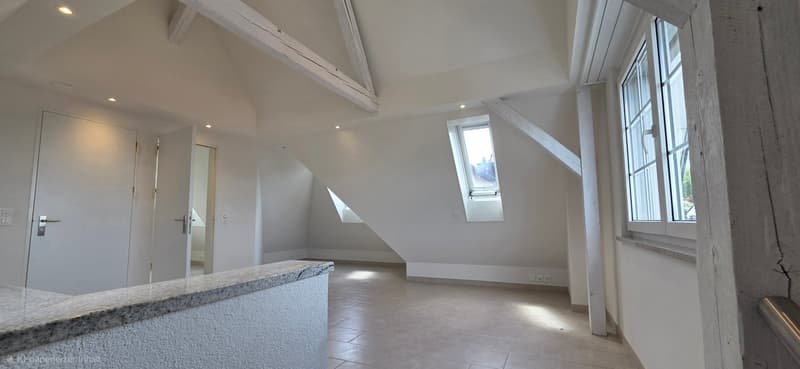Maisonette mit Seesicht, privatem Garten und einzigartigem Wohnatelier inkl. Garage (16)
