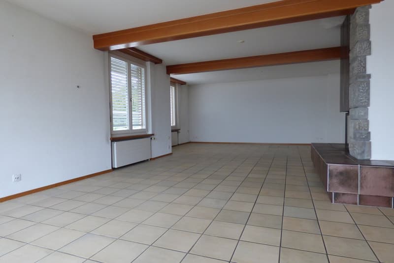 Appartement 5 pièces avec terrasse de rêve et vue sur le lac à Horgen – limité jusqu'en avril 2027 (5)
