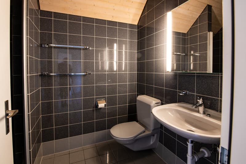 Exklusive 6.5-Zimmer-Dachwohnung mit traumhafter Aussicht im Hirzel (8)