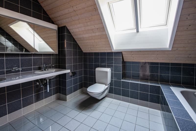 Exklusive 6.5-Zimmer-Dachwohnung mit traumhafter Aussicht im Hirzel (7)