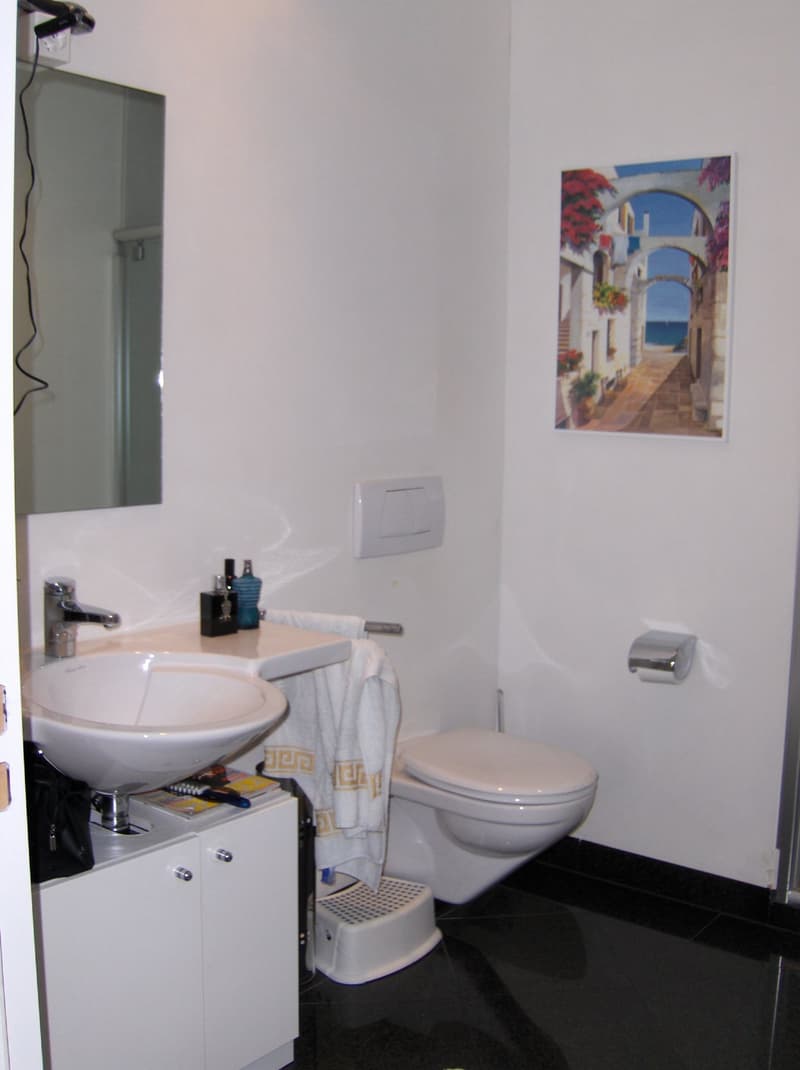 Charmante 3.5-Zimmer-Dachwohnung in Schönenberg ZH – Modern, Ruhig & Mit Aussicht (4)