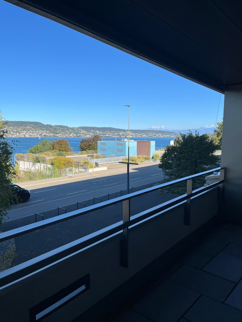 Helle 4.5-Zimmer-Wohnung mit Seesicht an der Seestrasse in Horgen (6)