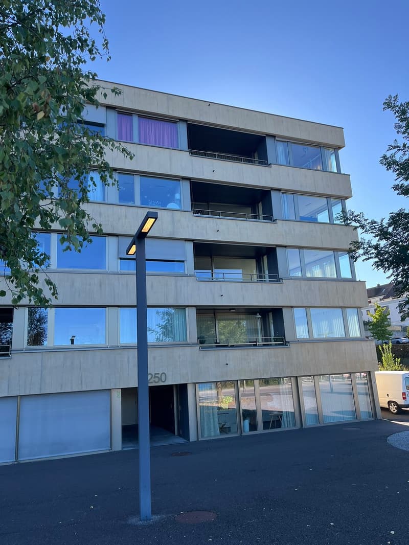 Helle 4.5-Zimmer-Wohnung mit Seesicht an der Seestrasse in Horgen (2)