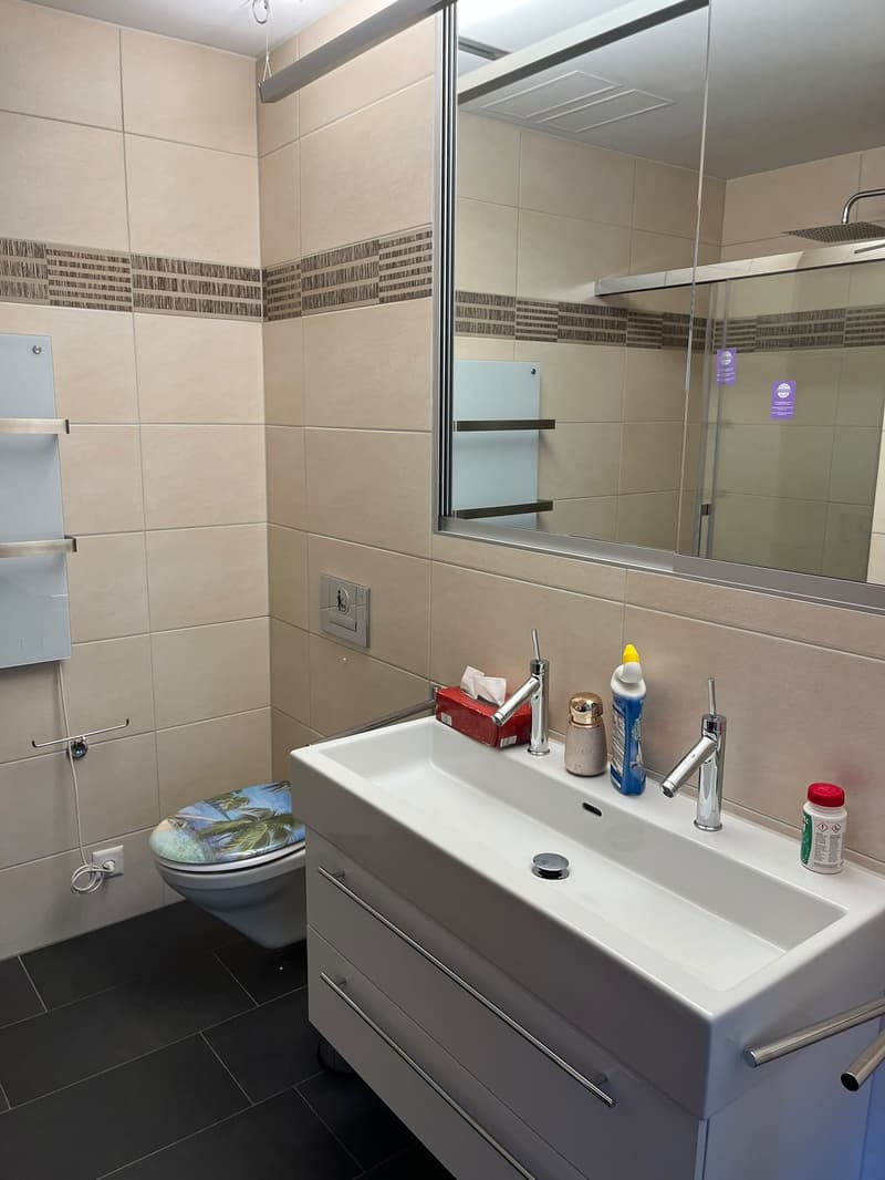 Helle 4.5-Zimmer-Wohnung mit Seesicht an der Seestrasse in Horgen (29)