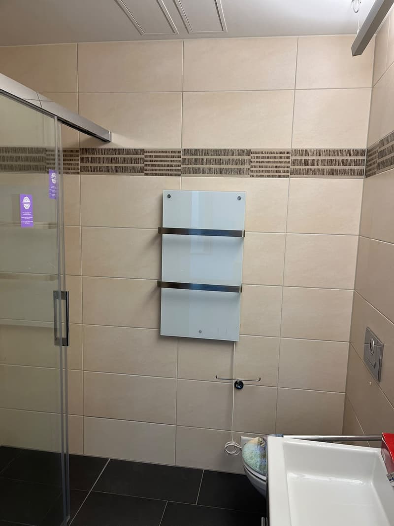 Helle 4.5-Zimmer-Wohnung mit Seesicht an der Seestrasse in Horgen (30)