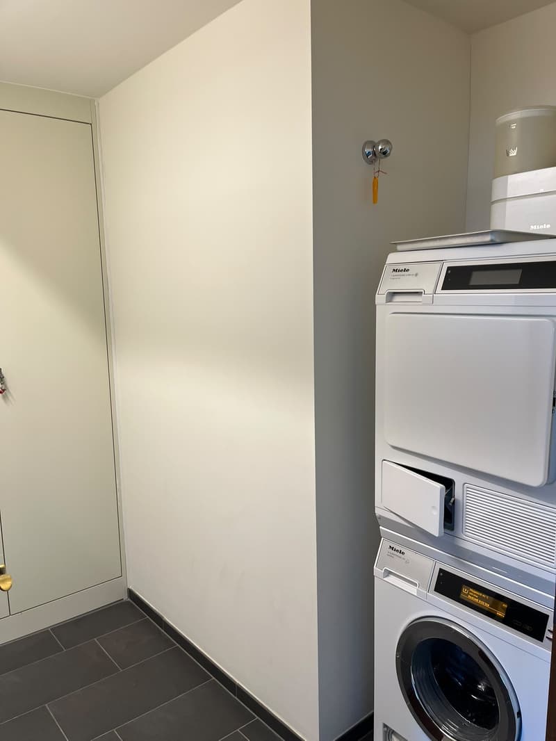Helle 4.5-Zimmer-Wohnung mit Seesicht an der Seestrasse in Horgen (32)