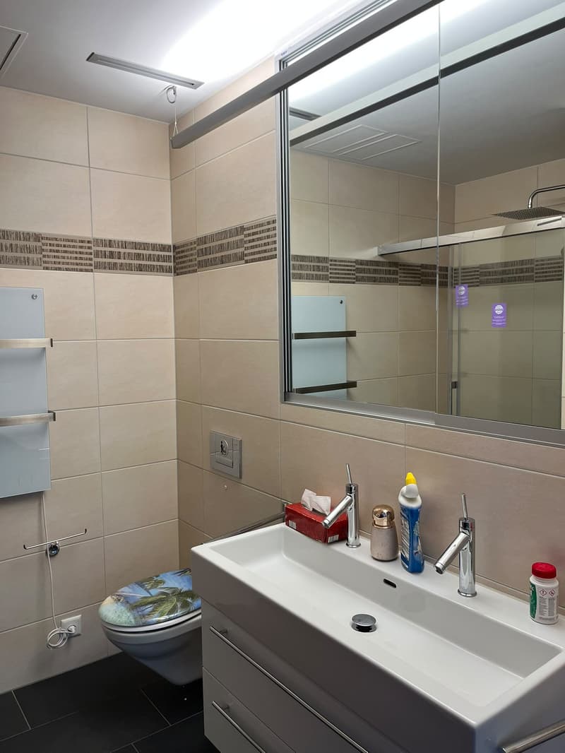 Helle 4.5-Zimmer-Wohnung mit Seesicht an der Seestrasse in Horgen (28)