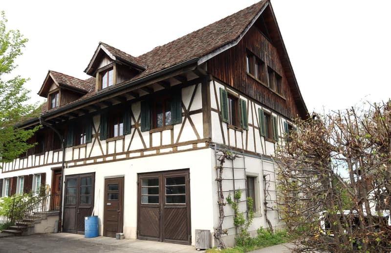 Charming Riegel house half with character and surroundings (3)