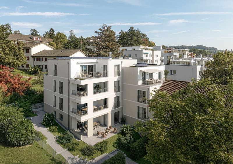Hillside Höngg