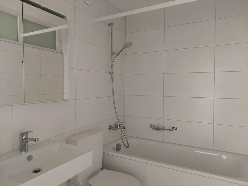Partly renovated apartment in a quiet location (3)