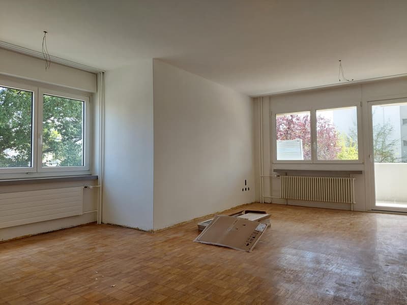 Partly renovated apartment in a quiet location (4)