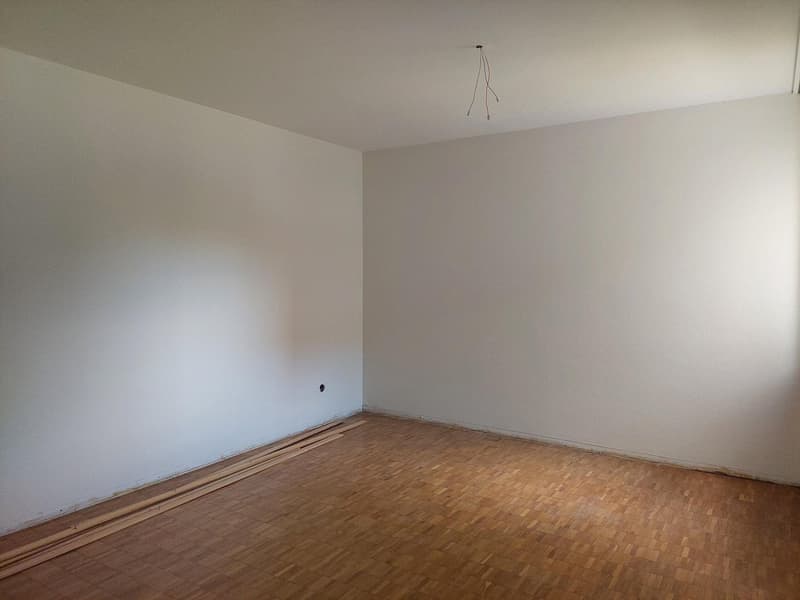 Partly renovated apartment in a quiet location (5)