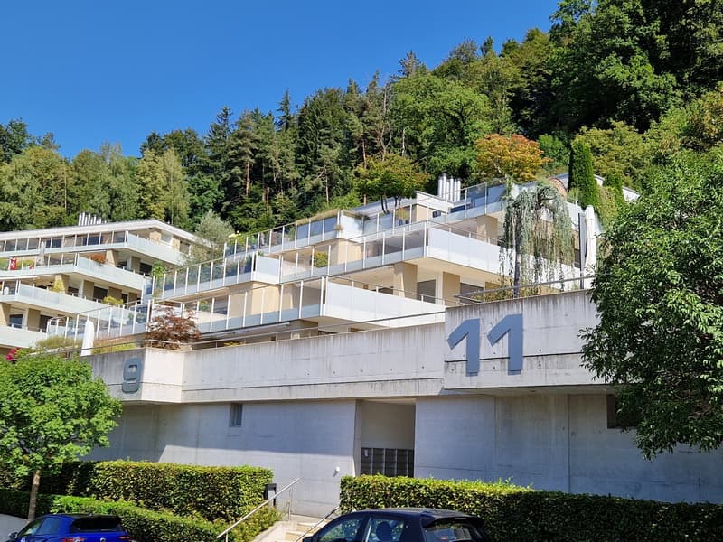 Ihre traumhafte Terrassenwohnung in Zuzwil (1)