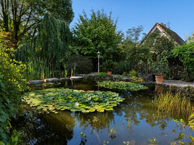 Idyllisches Zuhause in St. Gallen – Gartenparadies mit Schwimmteich (10)